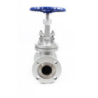 DN20 PN25 Stainless Steel Globe Valve Flange Type A351 CF8