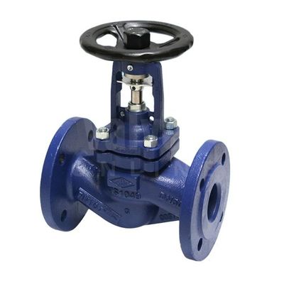 25A 10kg / cm2 x 127L Flanged Globe Valve STS304 HAND WHEEL