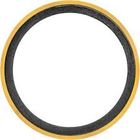 Stainless Steel S31803 Flange Gasket Types 3'' Class150 Color Coding