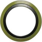 DN300 #150 RF 4.5mm Graphite Filler Spiral Wound Gasket With Inner And Outer Ring