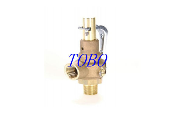 PN16 DN20 Full Lift Spring Loaded Pressure Safety Valve , Steam Boiler Relief Valve