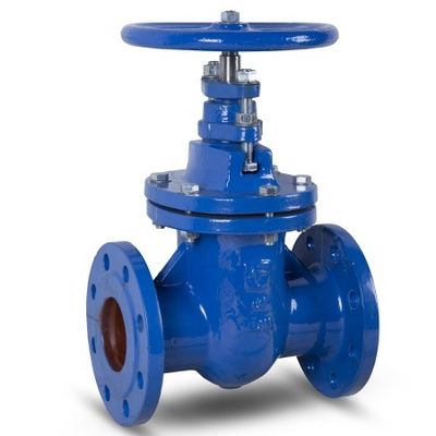 DN100 PN 10 And 16 Metal Seated Gate Valves Oval Body Cast Iron Inside Screw