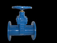 PN16 DN65 Ductile Iron Fitting Gate Valve Water Supply BS Flanged
