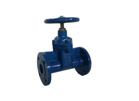 DN150 PN 25 Ductile Iron Gate Valve Oval Body Flanged Soft Seated