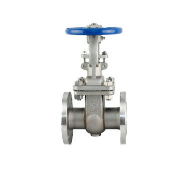 ASME B16.10 Stainless Steel Gate Valve CF8M API Trim 12 Cl150 RF Flanged Gate Valve