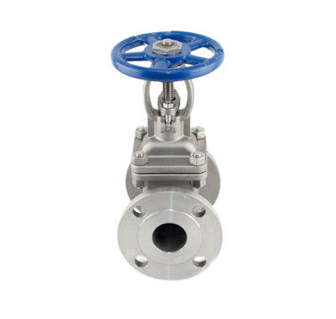 ASME B16.10 Stainless Steel Gate Valve CF8M API Trim 12 Cl150 RF Flanged Gate Valve