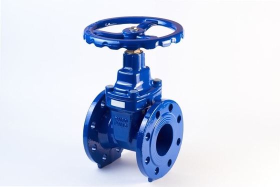 DN80 PN25 Cast Iron Flanged Gate Valve DIN Resilient Bolted Steam