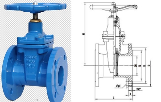 DN80 PN25 Cast Iron Flanged Gate Valve DIN Resilient Bolted Steam