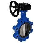 Cast Iron Lag Type Gear Operated Butterfly Valves 200Psi 15mm To 300Mm