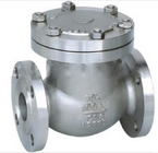 Flanged DIN DN50 DN100 DN200 PN25 Spring Loaded Cast WCB Piston Globe Check Valve