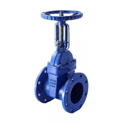 2 Inch Pn16 Cast Iron Non Rising Stem Resilient Gate Valve