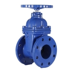 Pn16 Dn100 Non Rising Stem Resilient Flanged Gate Valve Wedge Gate Valve 200psi Steel Gate Valve