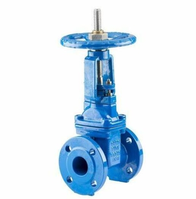 Bs5163 Rising Stem Resilient Soft Seal Gate Valve Dn100 Pn16 Stainless Steel Gate Valve