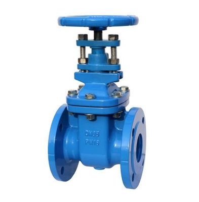 Asme B16.1 Cl 125 Gate Valve Bs5163 Cast Iron Pn16 Rising Stem Soft Seal Steel Gate Valve