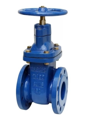 Asme B16.1 Cl 125 Gate Valve Bs5163 Cast Iron Pn16 Rising Stem Soft Seal Steel Gate Valve