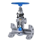 Stainless Steel Cryogenic Globe Valve Extended Stem And Others For Industrial Cryogenic Gas