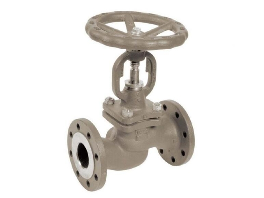 Din 3356 Api 598 Cf8m Butt Weld Flanged Globe Valve