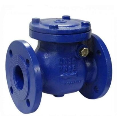 Flanged DIN DN50 DN100 DN200 PN25 Spring Loaded Cast WCB Piston Globe Check Valve