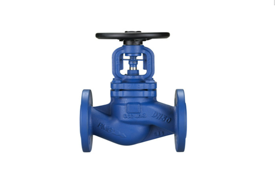 2 Inch Stainless Steel Check Valve Steam Flange Stainless Steel 1/2 Ansi Globe Stop Valve