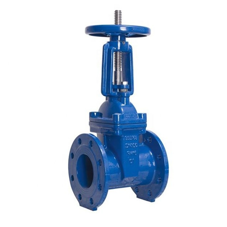 Asme B16.10 Dn50 Non Rising Stem Asme B16.1 Cl 125 300psi Stainless Steel Gate Valves